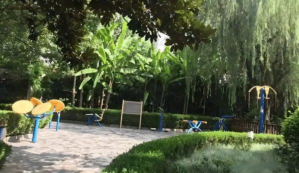 积分入户深圳不够分_「女性互助」大潮中，为什么《花漾》要呈现女性关系中的「毒性」成分？ 托养天托短期管适合或白